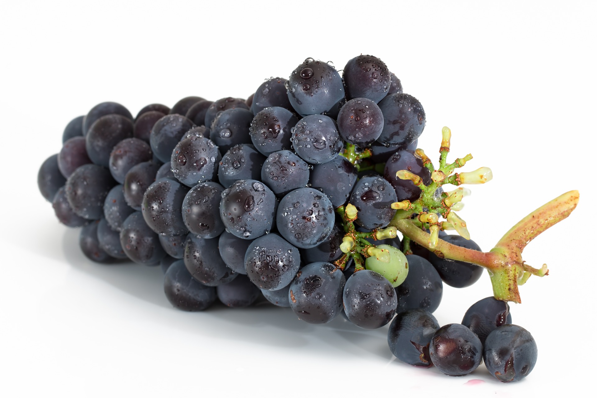 grapes 2032838 1920